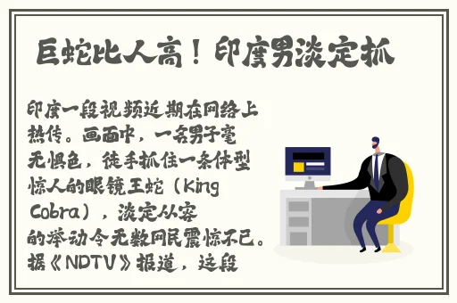 2020给个网站好人有好报